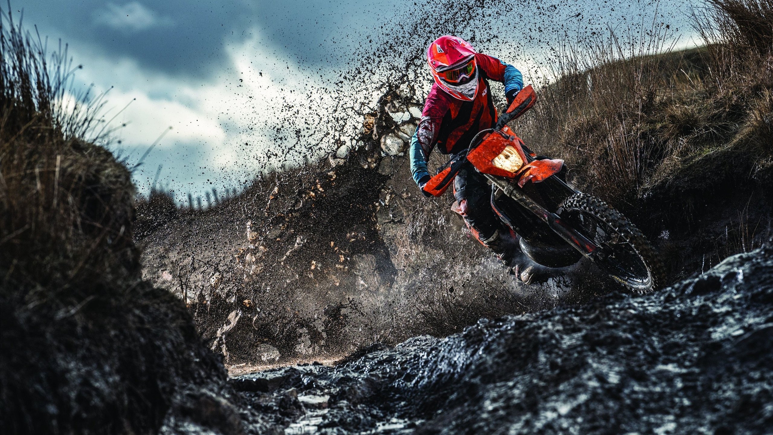 体育赛事数字化发展趋势